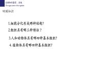 2.4.2+生物体的器官、系统-【精华备课】2023-2024学年七年级生物上册同步教学课件（北师大版）