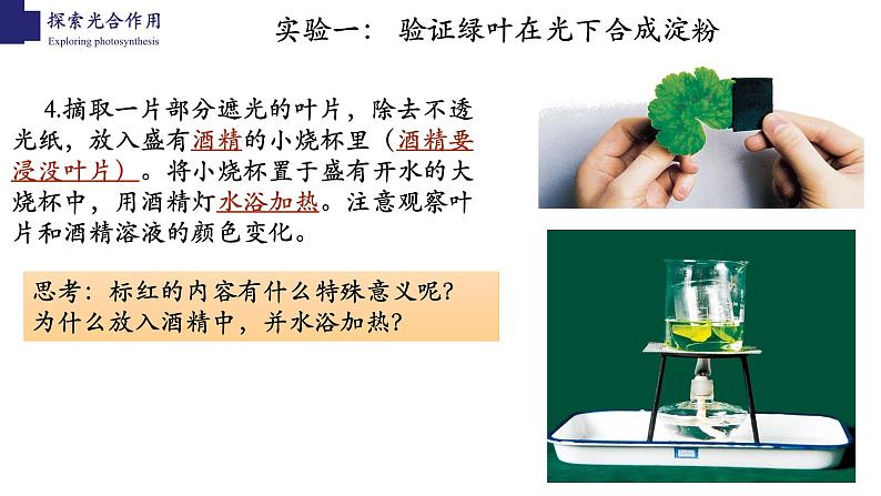 3.5.1+光合作用（第二课时）-【精华备课】2023-2024学年七年级生物上册同步教学课件（北师大版）04