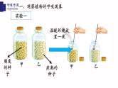 3.5.2+呼吸作用-【精华备课】2023-2024学年七年级生物上册同步教学课件（北师大版）