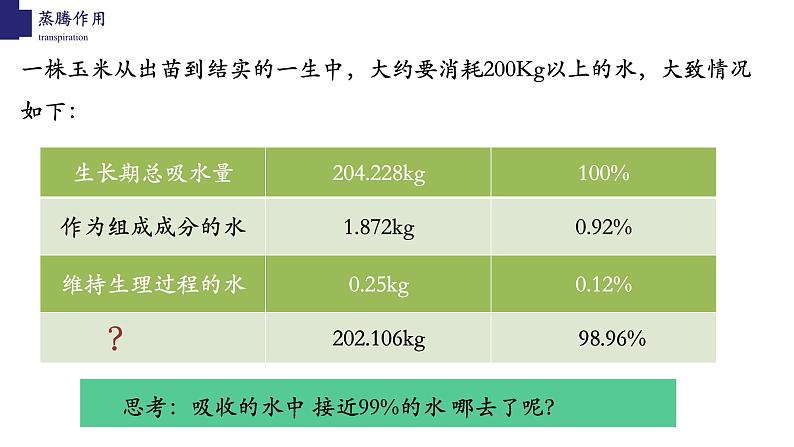 3.5.4+蒸腾作用-【精华备课】2023-2024学年七年级生物上册同步教学课件（北师大版）第3页