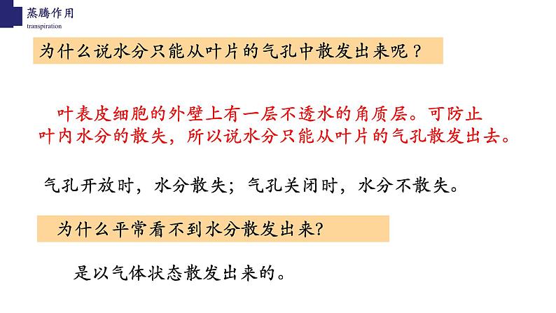 3.5.4+蒸腾作用-【精华备课】2023-2024学年七年级生物上册同步教学课件（北师大版）第7页