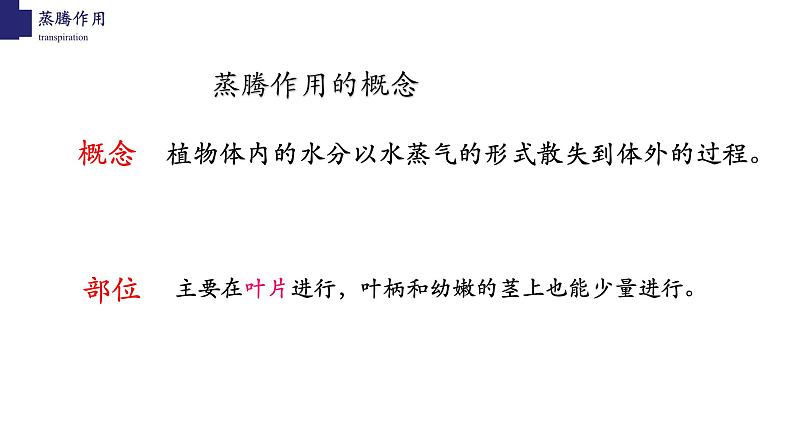 3.5.4+蒸腾作用-【精华备课】2023-2024学年七年级生物上册同步教学课件（北师大版）第8页