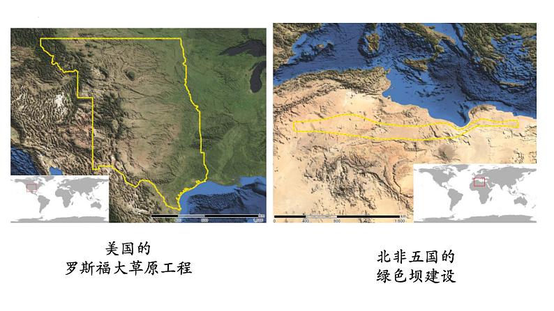 3.7.3+我国的绿色生态工程-【精华备课】2023-2024学年七年级生物上册同步教学课件（北师大版）+04