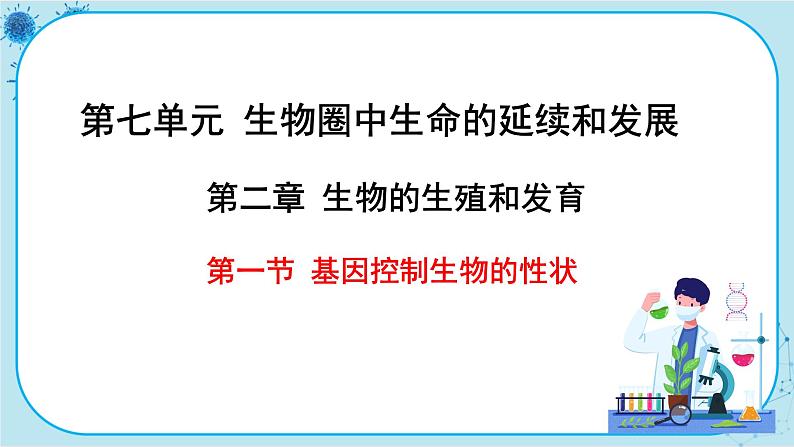 人教版生物八下7.2.1《基因控制生物的性状》课件PPT01
