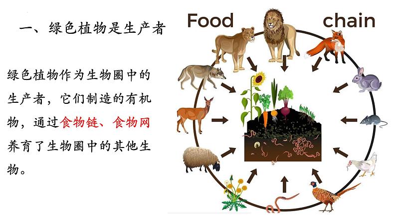 3.7.1+绿色植物在生物圈的作用-【精华备课】2023-2024学年七年级生物上册同步教学课件（北师大版）+08