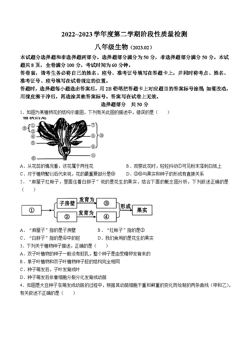 88，山东省济南市槐荫区2022-2023学年八年级下学期开学考试生物试题(无答案)01