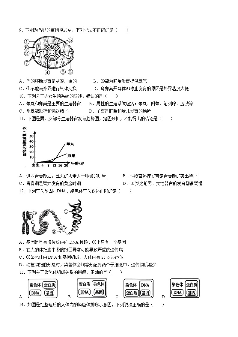 88，山东省济南市槐荫区2022-2023学年八年级下学期开学考试生物试题(无答案)03