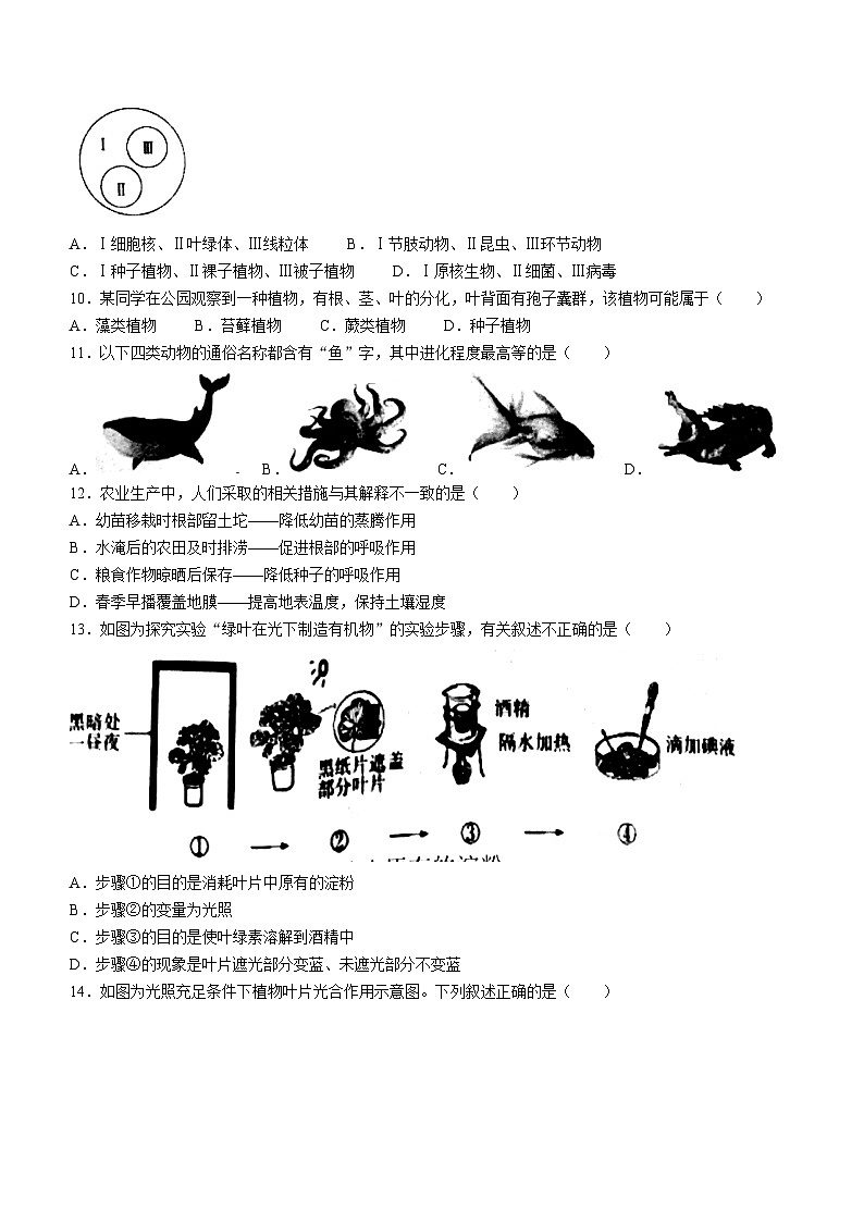 90，山东处菏泽市牡丹区2022-2023学年七年级下学期开学考试生物试题(无答案)第3页