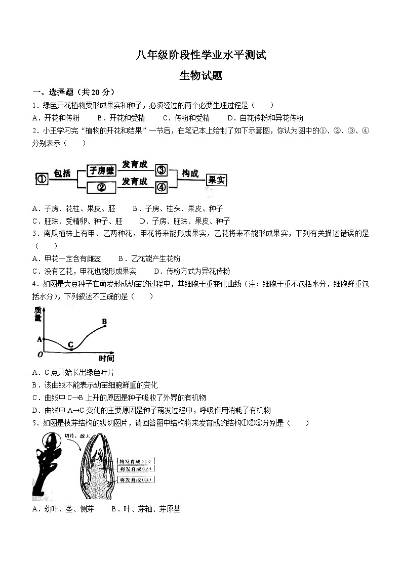 92，山东省菏泽市牡丹区2022-2023学年八下学期开学考试生物试题(无答案)第1页