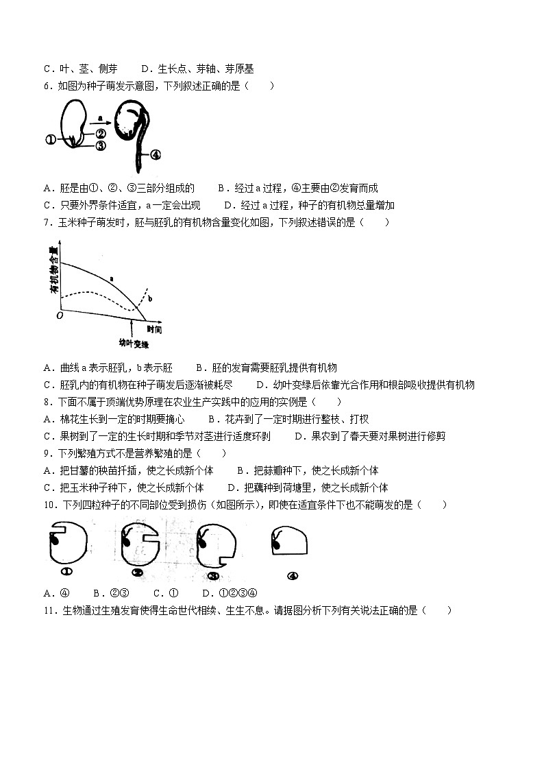 92，山东省菏泽市牡丹区2022-2023学年八下学期开学考试生物试题(无答案)第2页