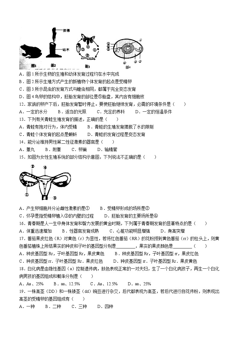 92，山东省菏泽市牡丹区2022-2023学年八下学期开学考试生物试题(无答案)第3页
