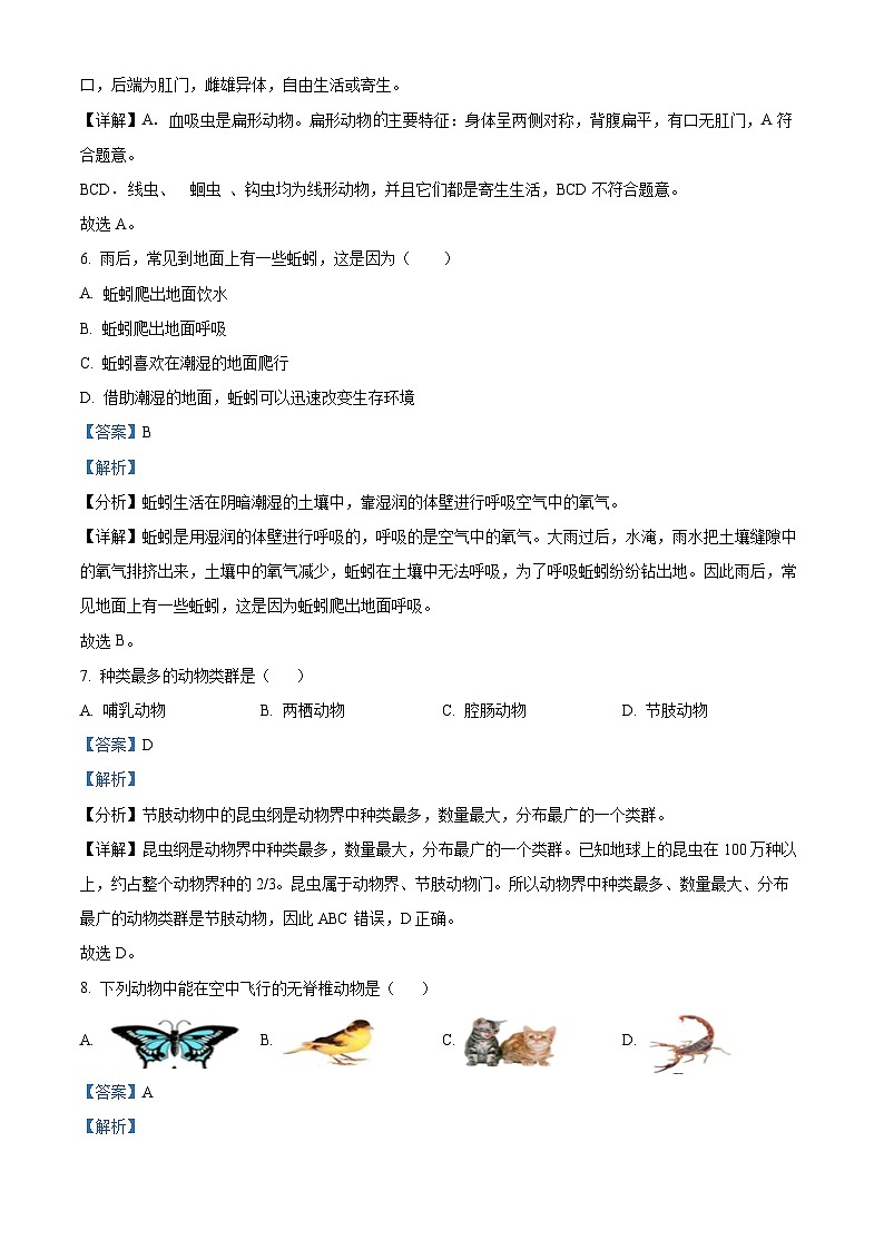 海南省保亭县保亭中学2022-2023学年八年级上学期期中生物试题（解析版）第3页