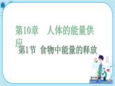 北师大版生物七下9.2.1《血液流动的管道》课件PPT