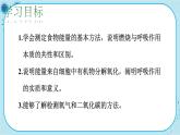北师大版生物七下9.2.1《血液流动的管道》课件PPT