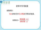北师大版生物七下9.2.1《血液流动的管道》课件PPT