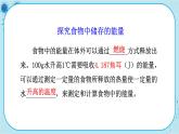 北师大版生物七下9.2.1《血液流动的管道》课件PPT