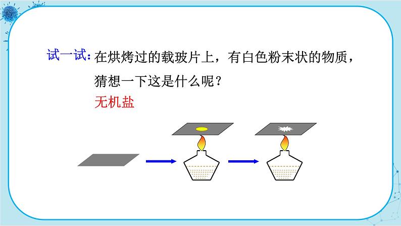 北师大版生物七下11.1《人体产生的代谢废物》课件PPT第6页