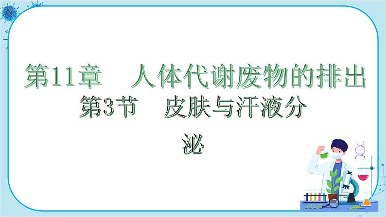 北师大版生物七下11.3《皮肤与汗液分泌》课件PPT第1页