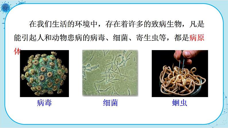 北师大版生物七下13.2《预防传染病》课件PPT第7页