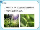 北师大版生物八下23.1《生物的生存依赖一定的环境》课件PPT