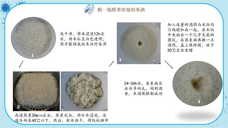 北师大版生物八下25.1《发酵技术》课件PPT08