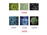 苏科版生物八下24.1《人体的免疫防线》课件PPT+音视频素材