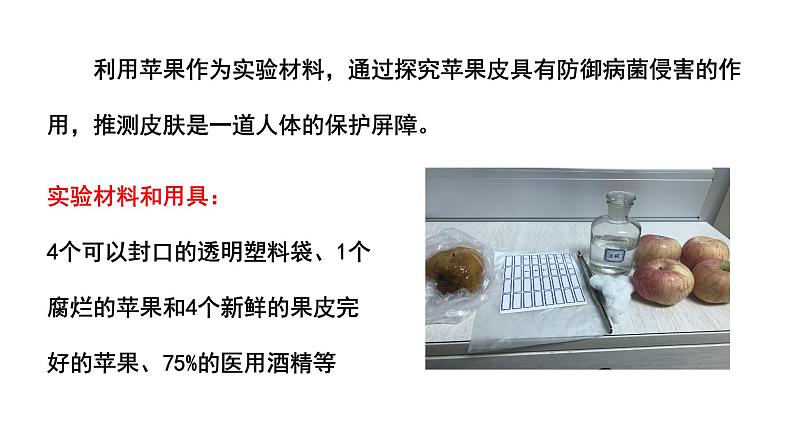 苏科版生物八下24.1《人体的免疫防线》课件PPT+音视频素材08