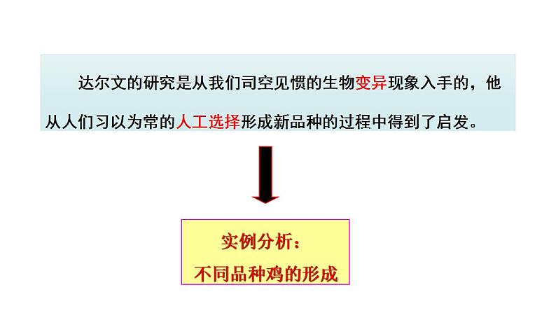 苏科版生物八下23.3《生物进化的原因》课件PPT04