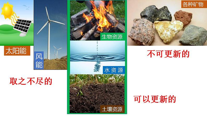苏科版生物八下26.3《自然资源的可持续利用》课件PPT第5页
