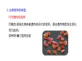 苏教版生物八下22.5《生物的变异》课件PPT