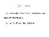 蘇教版生物八下24.1《現(xiàn)代生物技術(shù)的應(yīng)用》課件PPT