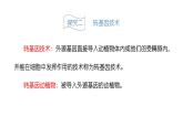 蘇教版生物八下24.1《現(xiàn)代生物技術(shù)的應(yīng)用》課件PPT
