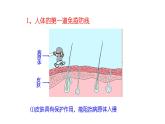 苏教版生物八下25.3《免疫》课件PPT