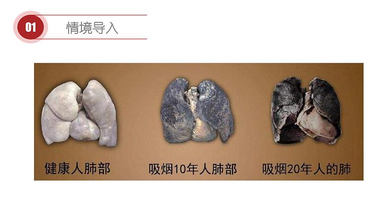 苏教版生物八下26.1《远离烟酒》课件PPT第2页