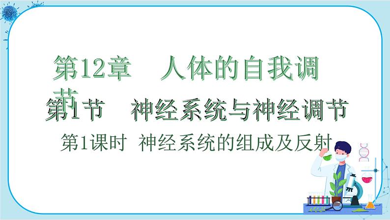 北师大版生物七下12.1.1《神经系统的组成及反射》课件PPT01