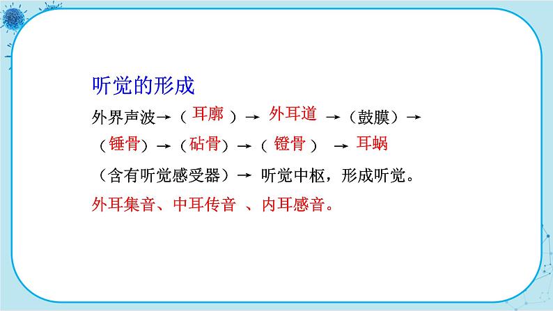 北师大版生物七下12.2.2《听觉、其他感受器》课件PPT第7页