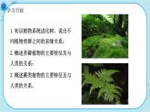 北师大版生物八下22.3.1《 苔藓植物和蕨类植物》课件PPT