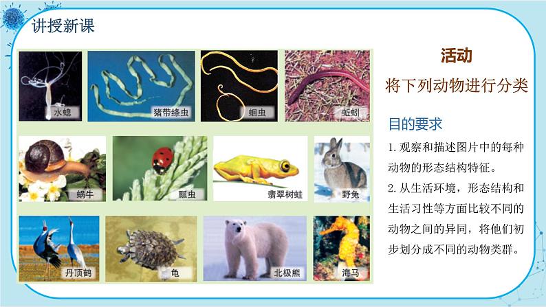 北师大版生物八下22.4.1《无脊椎动物》课件PPT第4页