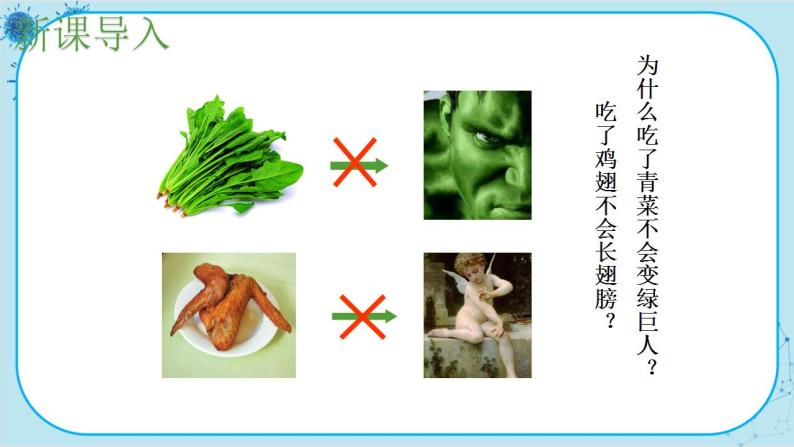 苏教版生物七下9.2.2《人体的消化与吸收》课件PPT+音视频素材02