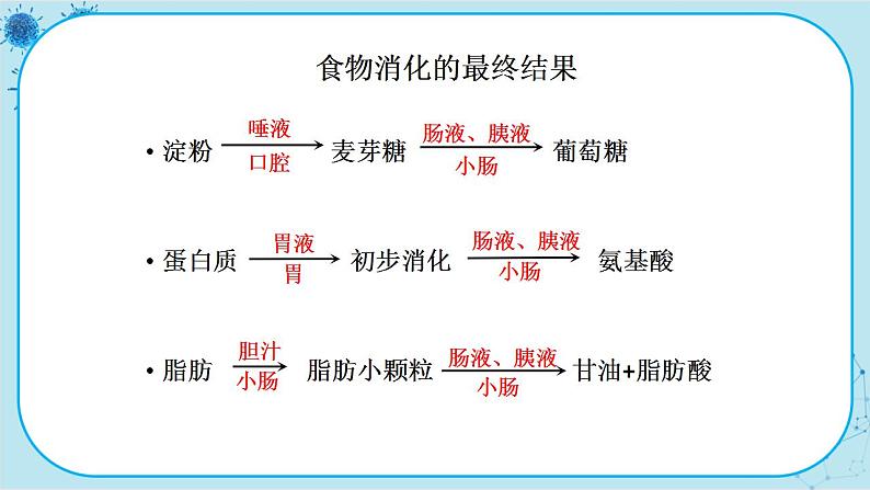 苏教版生物七下9.2.2《人体的消化与吸收》课件PPT+音视频素材07