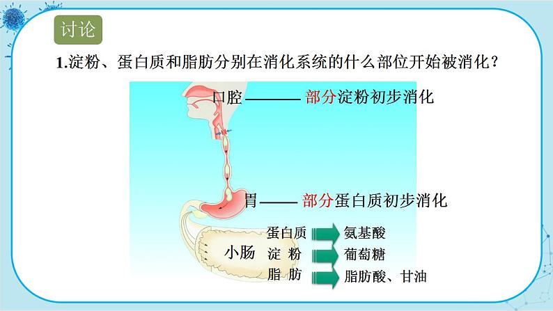 苏教版生物七下9.2.2《人体的消化与吸收》课件PPT+音视频素材08