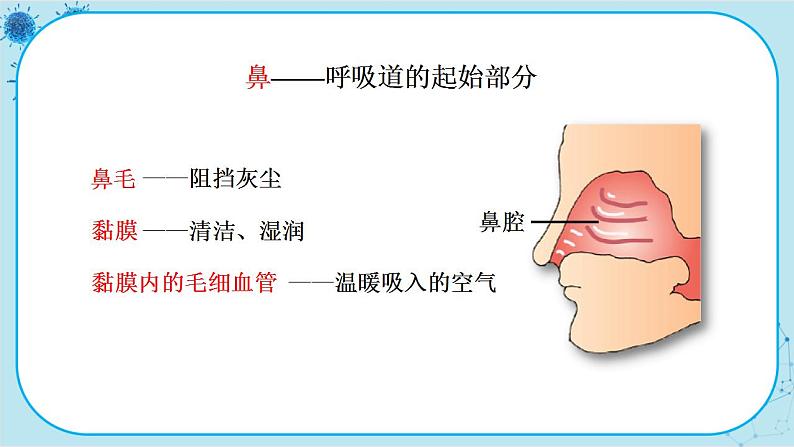 苏教版生物七下10.3.1《人体和外界环境的气体交换》课件PPT+音视频素材06