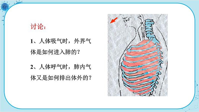 苏教版生物七下10.3.2《人体和外界环境的气体交换》课件PPT+音视频素材08