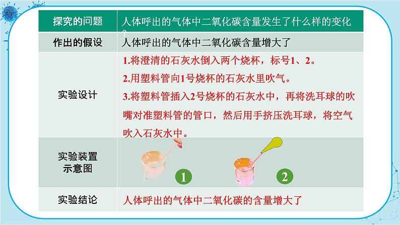 苏教版生物七下10.4《人体内的气体交换》课件PPT+音视频素材08