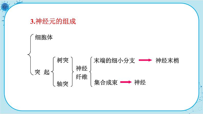 苏教版生物七下12.2.1《人体的神经调节》课件PPT+音视频素材08