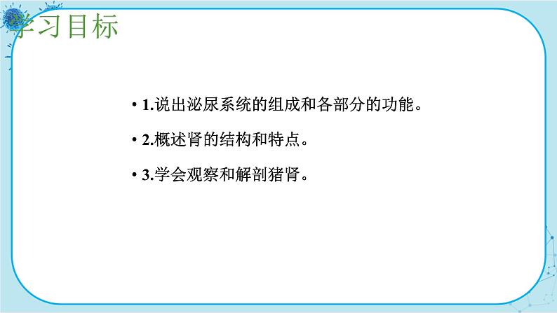 苏教版生物七下11.1《人体泌尿系统的组成》课件PPT第3页