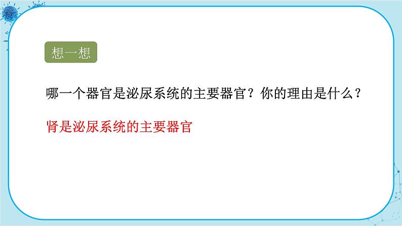 苏教版生物七下11.1《人体泌尿系统的组成》课件PPT第7页