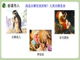 济南版生物八下5.2.1 人类的起源（课件PPT）