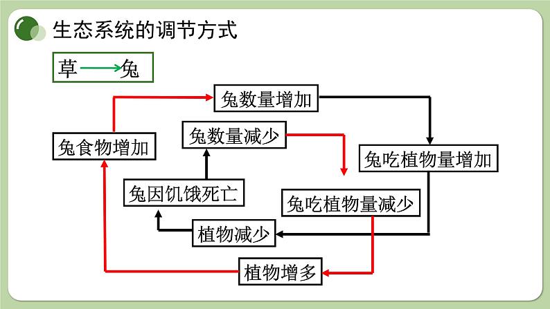 济南版生物八下6.2.5 生态系统的自我调节（课件PPT）02