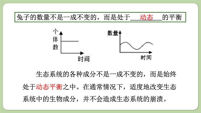 济南版生物八下6.2.5 生态系统的自我调节（课件PPT）03